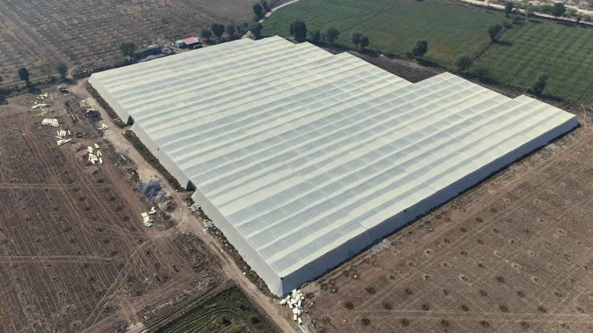 White 50 per cent shade net covering vegetable beds inside a net house structure in Karnataka